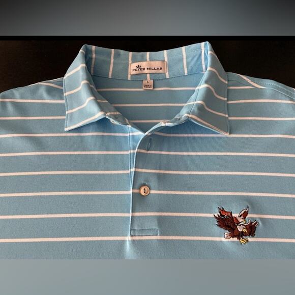 PETER MILLAR Striped Blue Dbl Eagle Club Golf Polo Mens sz L - Picture 5 of 9